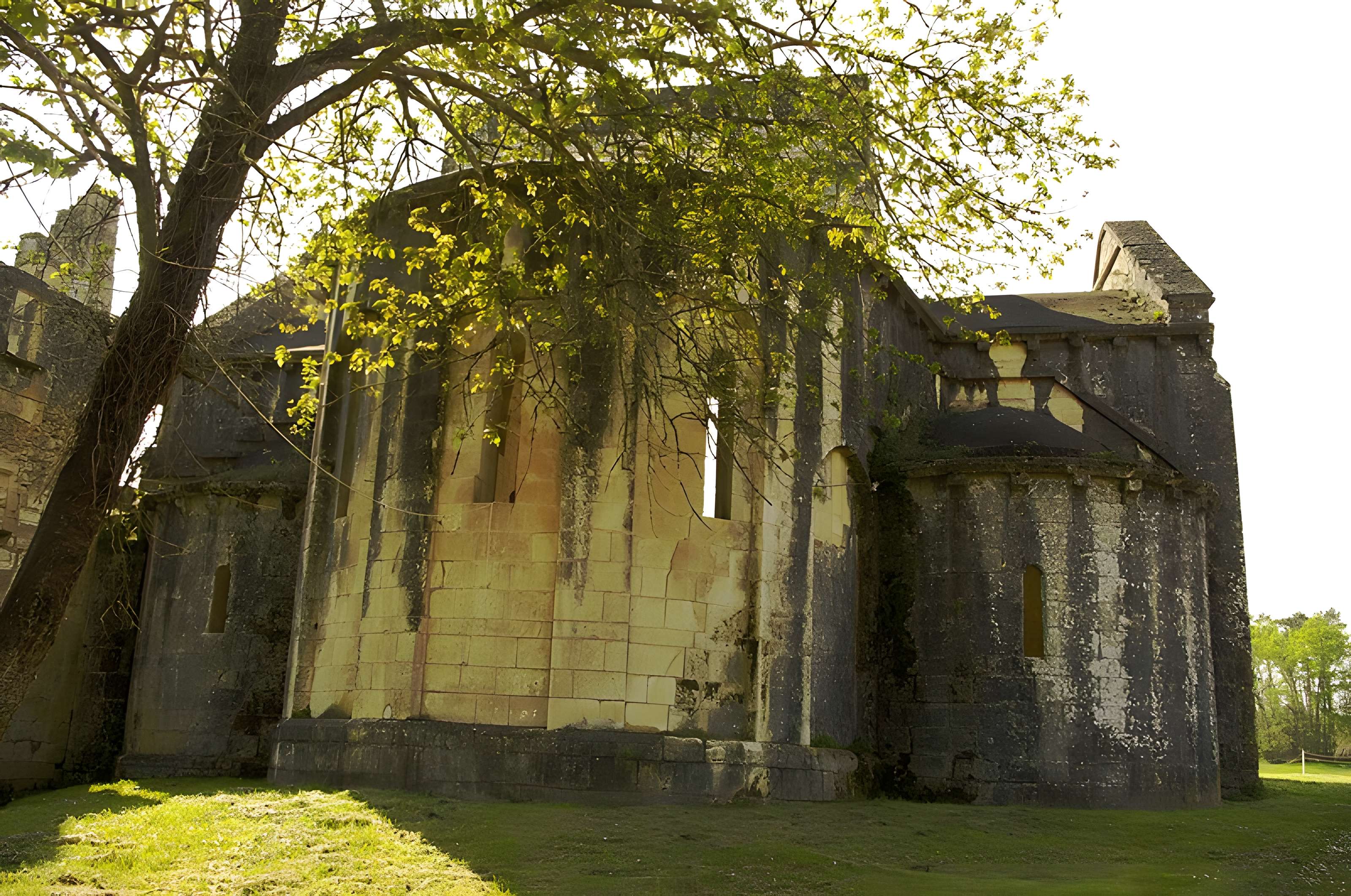 Ruines de l'Abbaye Notre-Dame de Boschaud