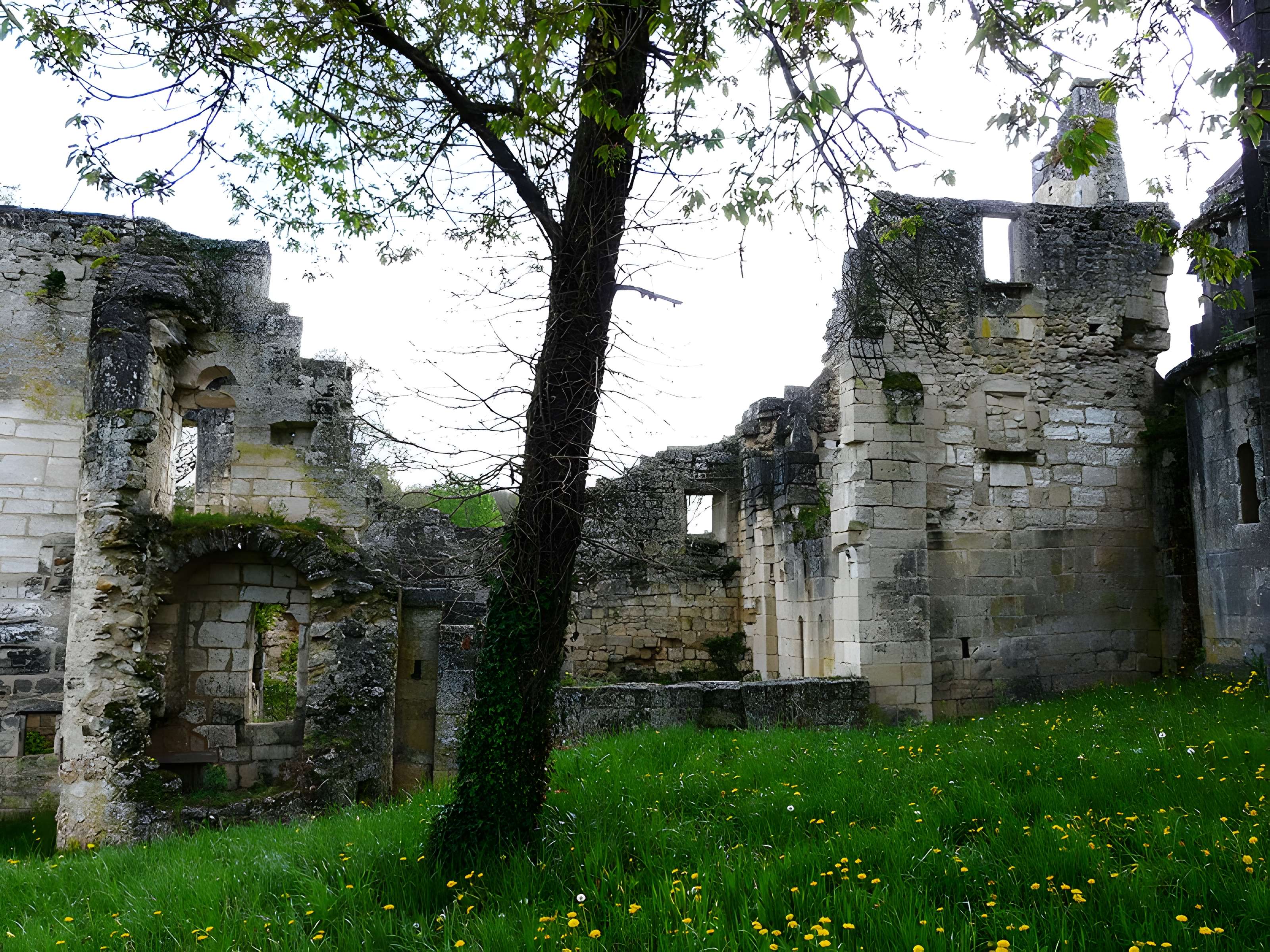 Ruines de l'Abbaye Notre-Dame de Boschaud