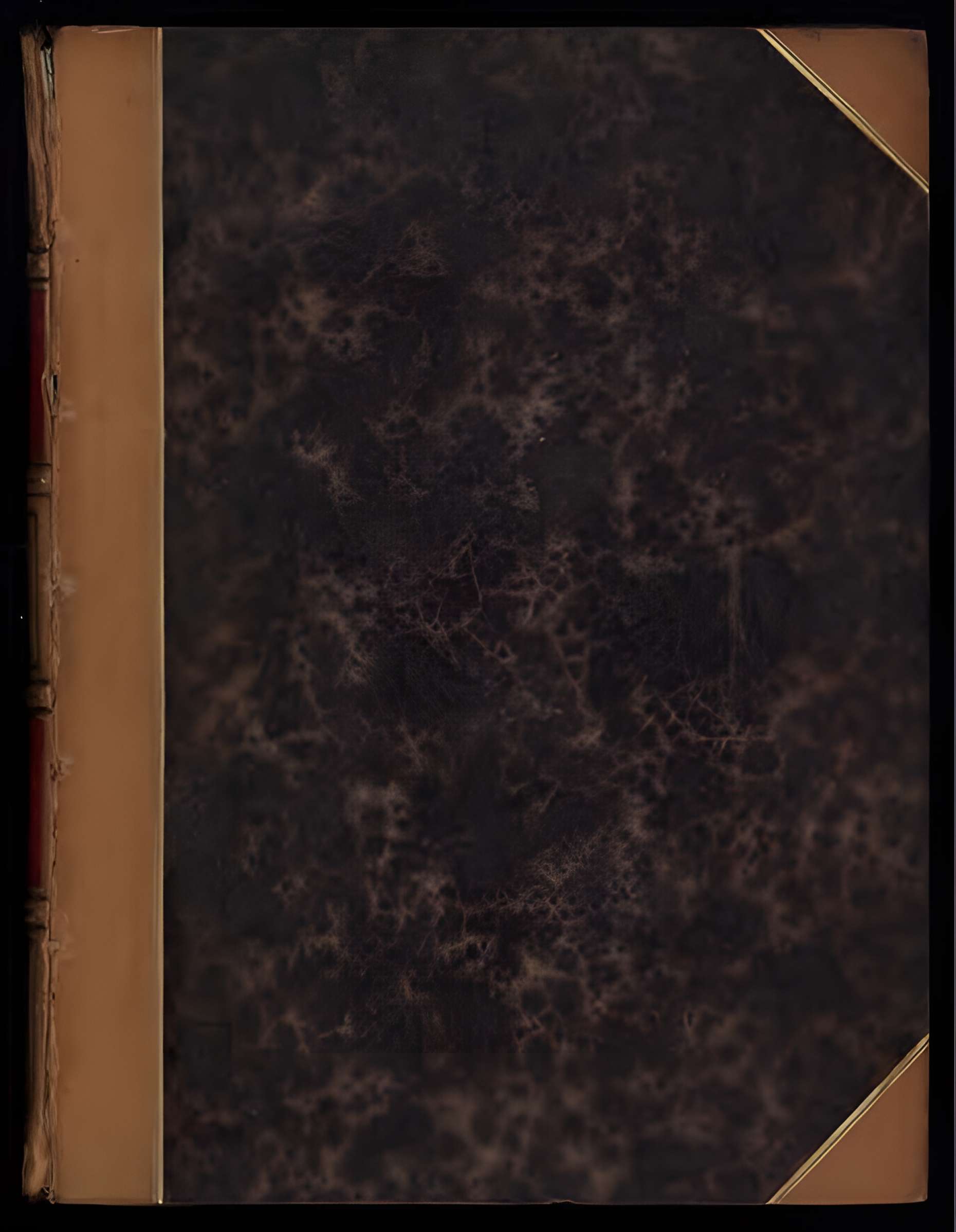 Ruines de l'Abbaye St-Bertin de Saint-Omer