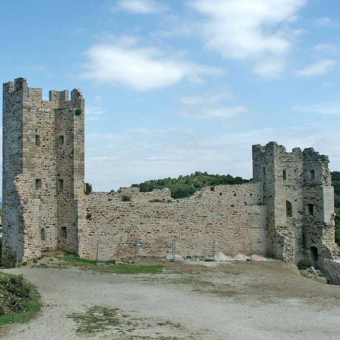 Photo de Ruines du Château dHyères