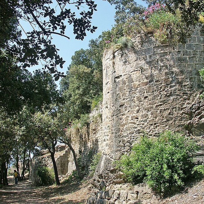 Photo de Ruines du Château dHyères