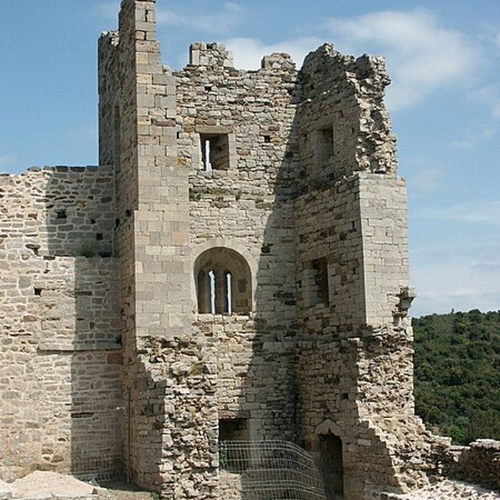Photo de Ruines du Château dHyères
