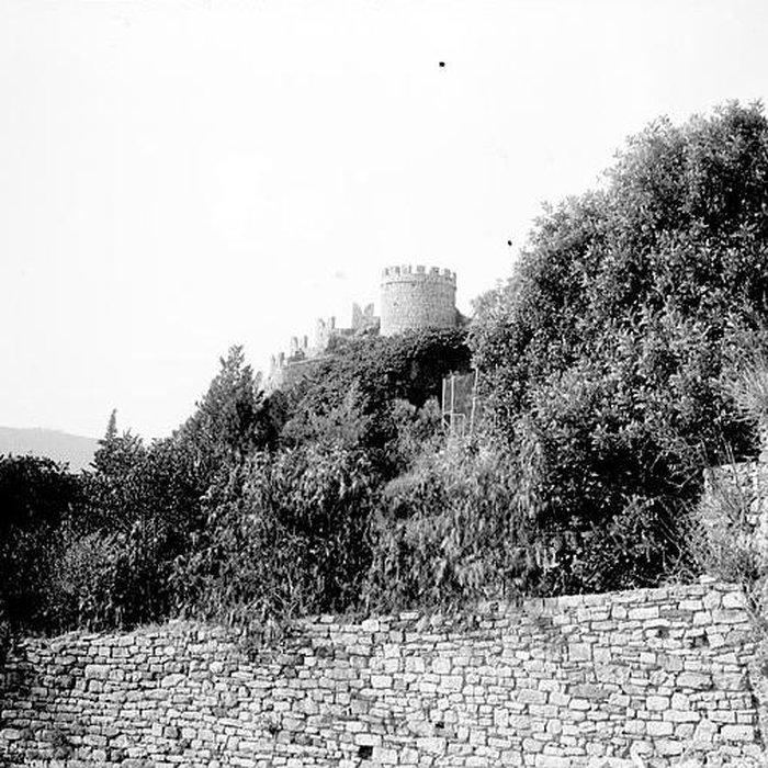 Photo de Ruines du Château dHyères