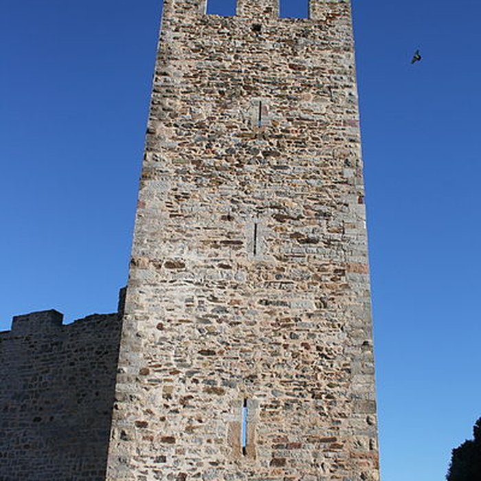 Photo de Ruines du Château dHyères