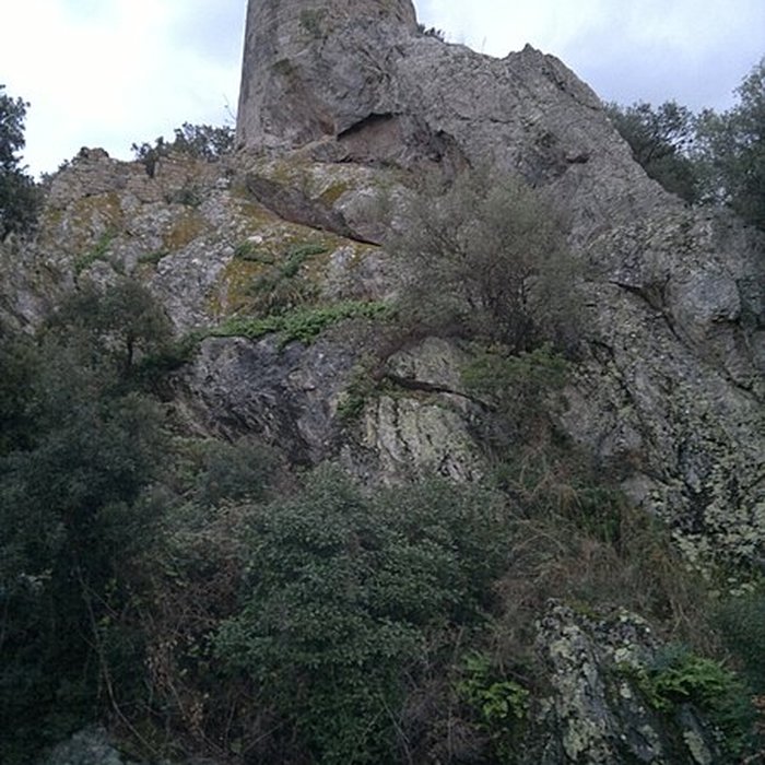 Photo de Ruines du Château dHyères