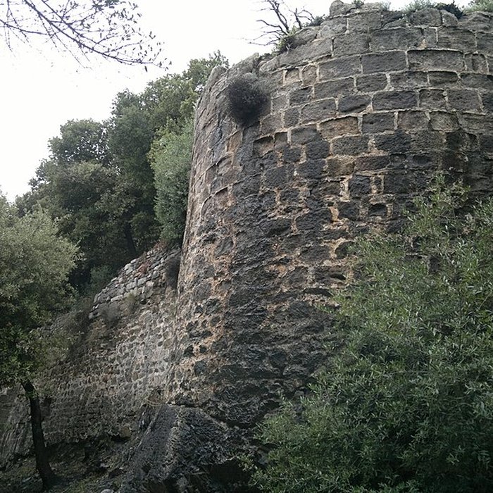 Photo de Ruines du Château dHyères