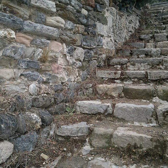 Photo de Ruines du Château dHyères