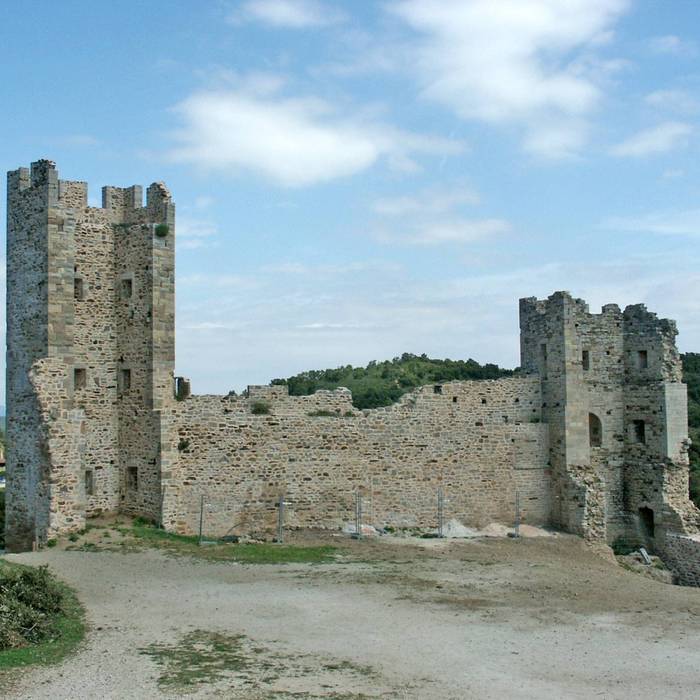 Photo de Ruinas del castillo de Hyères