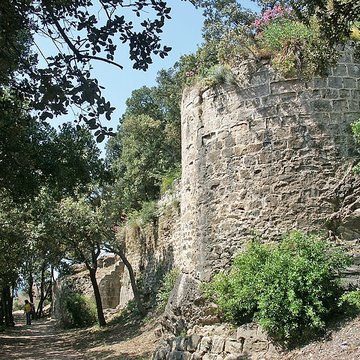 Ruines du Château dHyères