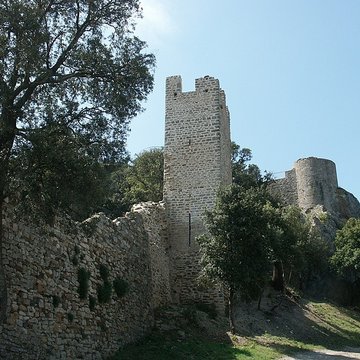 Ruines du Château dHyères