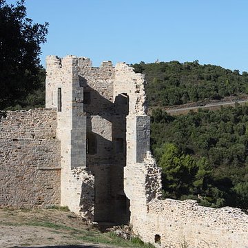 Ruines du Château dHyères