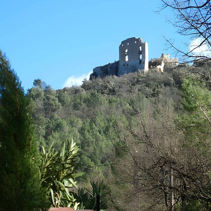 Photo de Ruines du Château du Castellas de Forcalqueiret 
