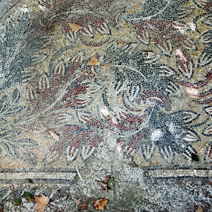 Photo de Ruines romaines de Nérac