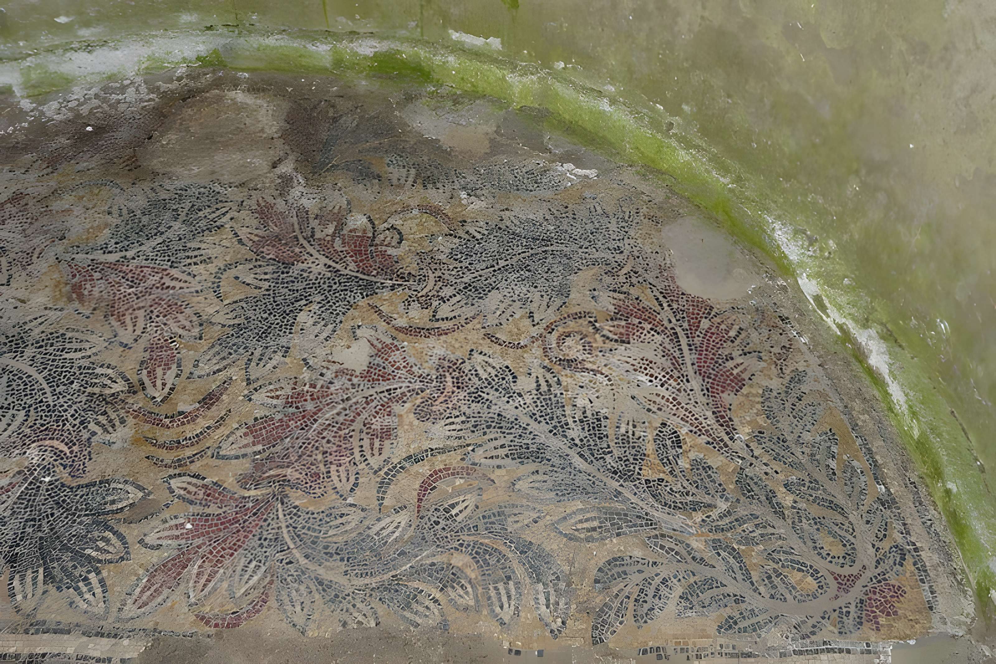 Ruines romaines de Nérac 