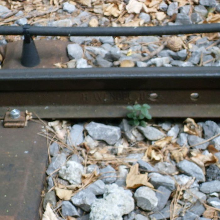 Photo de Funiculaire dEvian-les-Bains à Neuvecelle également sur commune de Neuvecelle