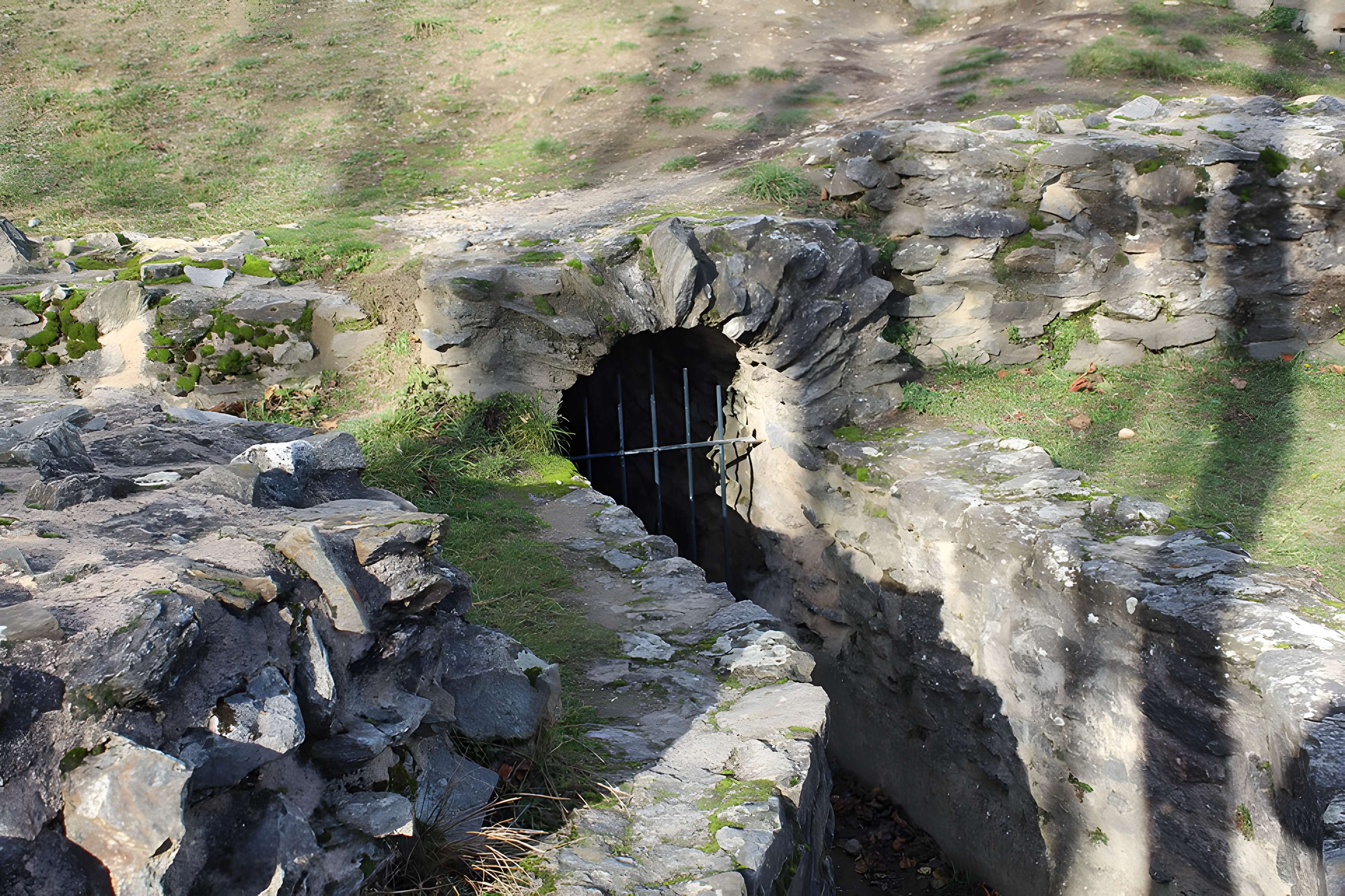 Sanctuaire de Cybèle à Lyon