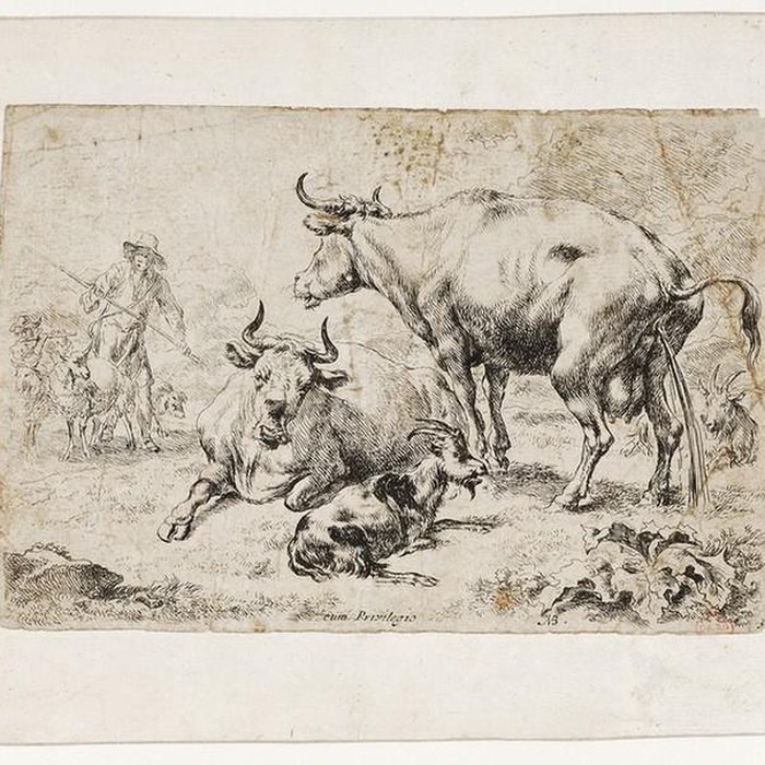 Photo de Musée de Brou