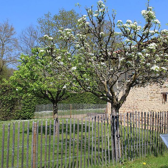 Photo de Domaine des Saveurs – Les Planons