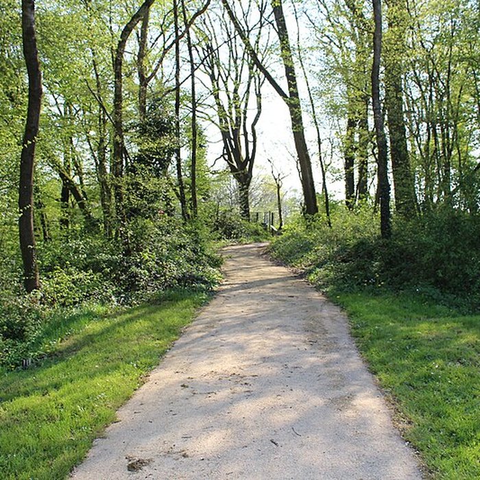 Photo de Domaine des Saveurs – Les Planons