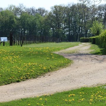 Domaine des Saveurs – Les Planons