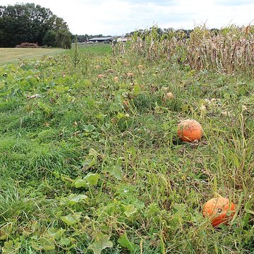 Domaine des Saveurs – Les Planons