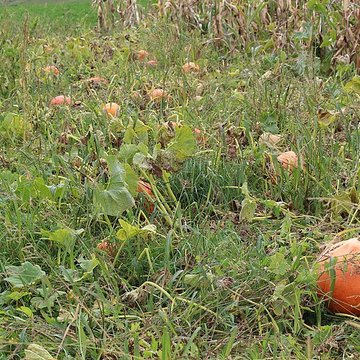 Domaine des Saveurs – Les Planons