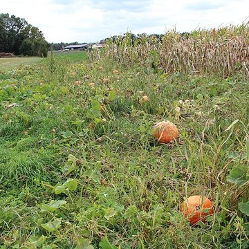 Domaine des Saveurs – Les Planons