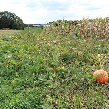 Domaine des Saveurs – Les Planons