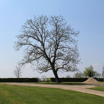 Domaine des Saveurs – Les Planons