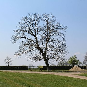 Domaine des Saveurs – Les Planons