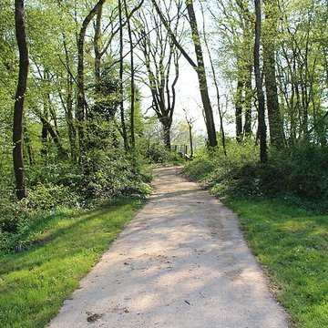 Domaine des Saveurs – Les Planons