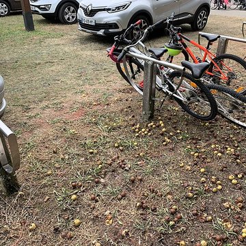 Domaine des Saveurs – Les Planons