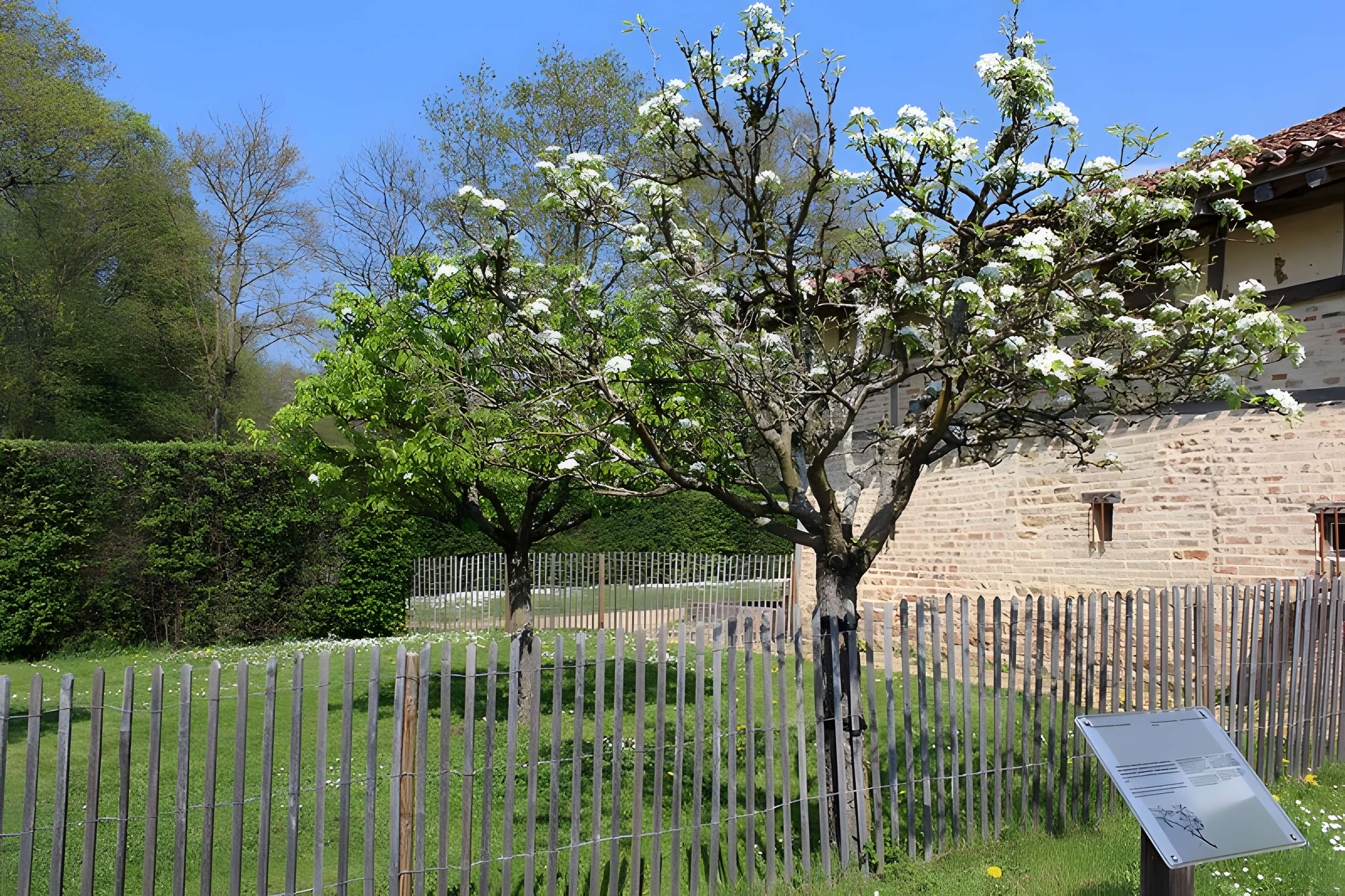 Domaine des Saveurs – Les Planons