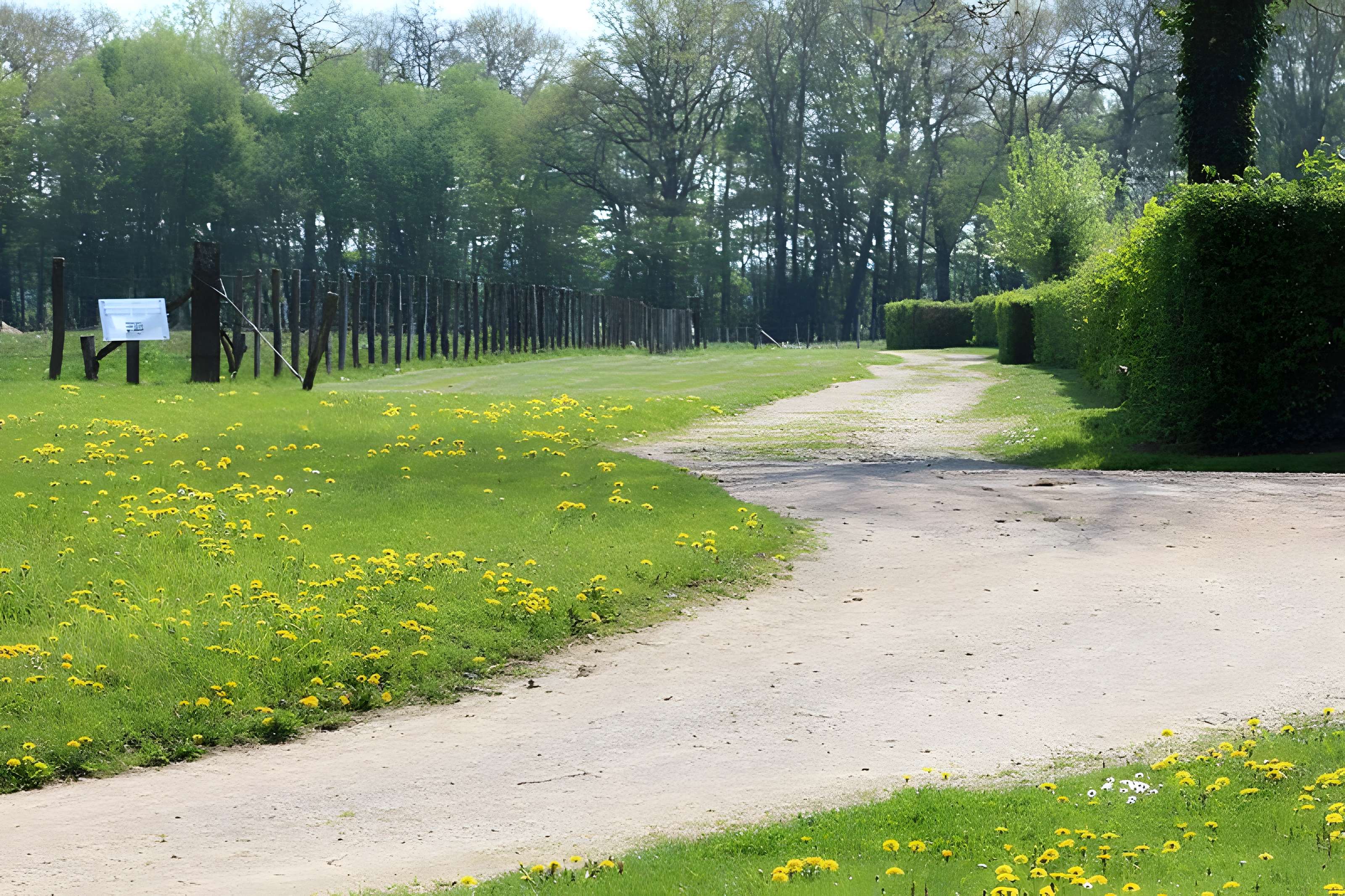 Domaine des Saveurs – Les Planons