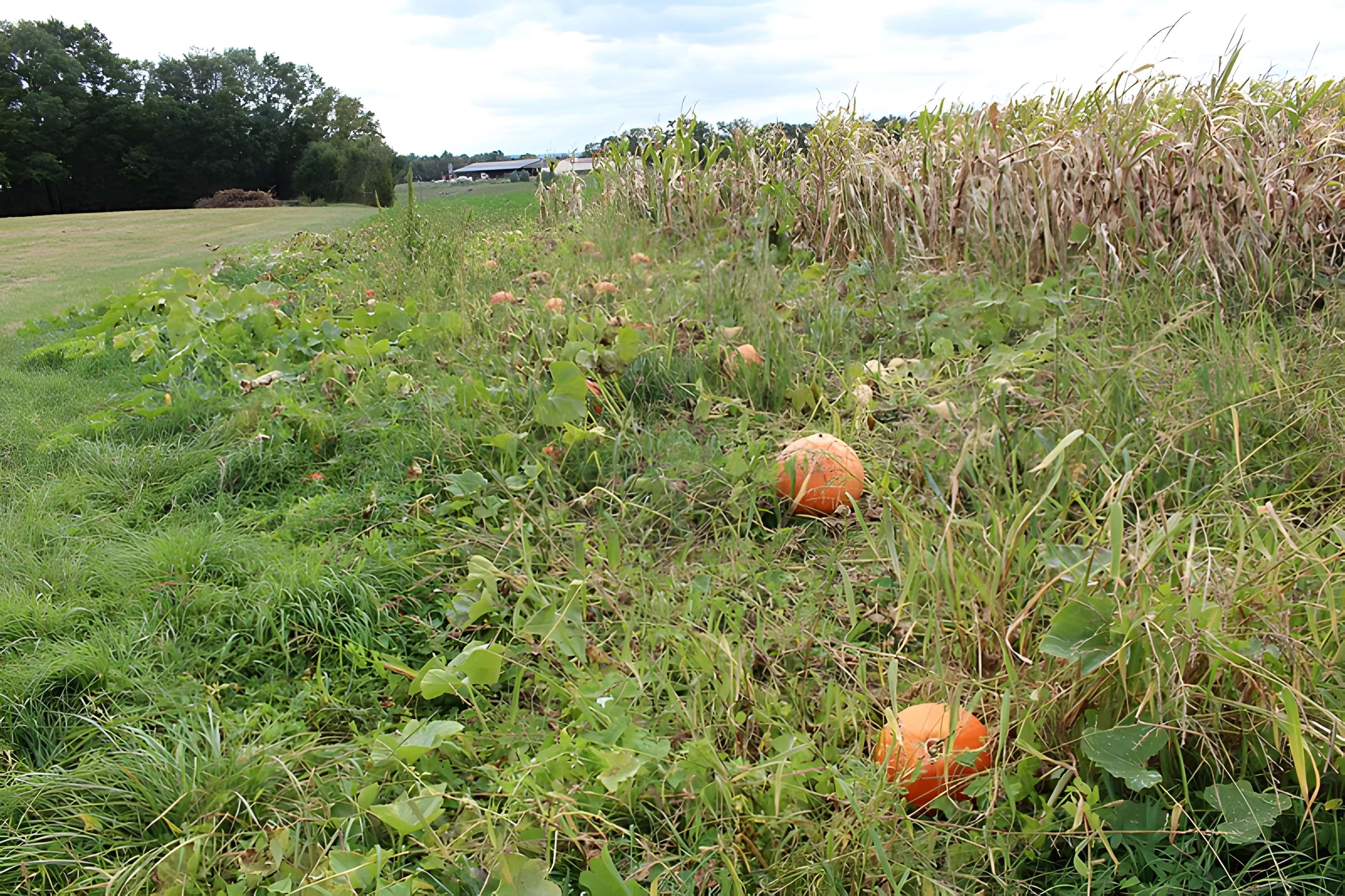 Domaine des Saveurs – Les Planons