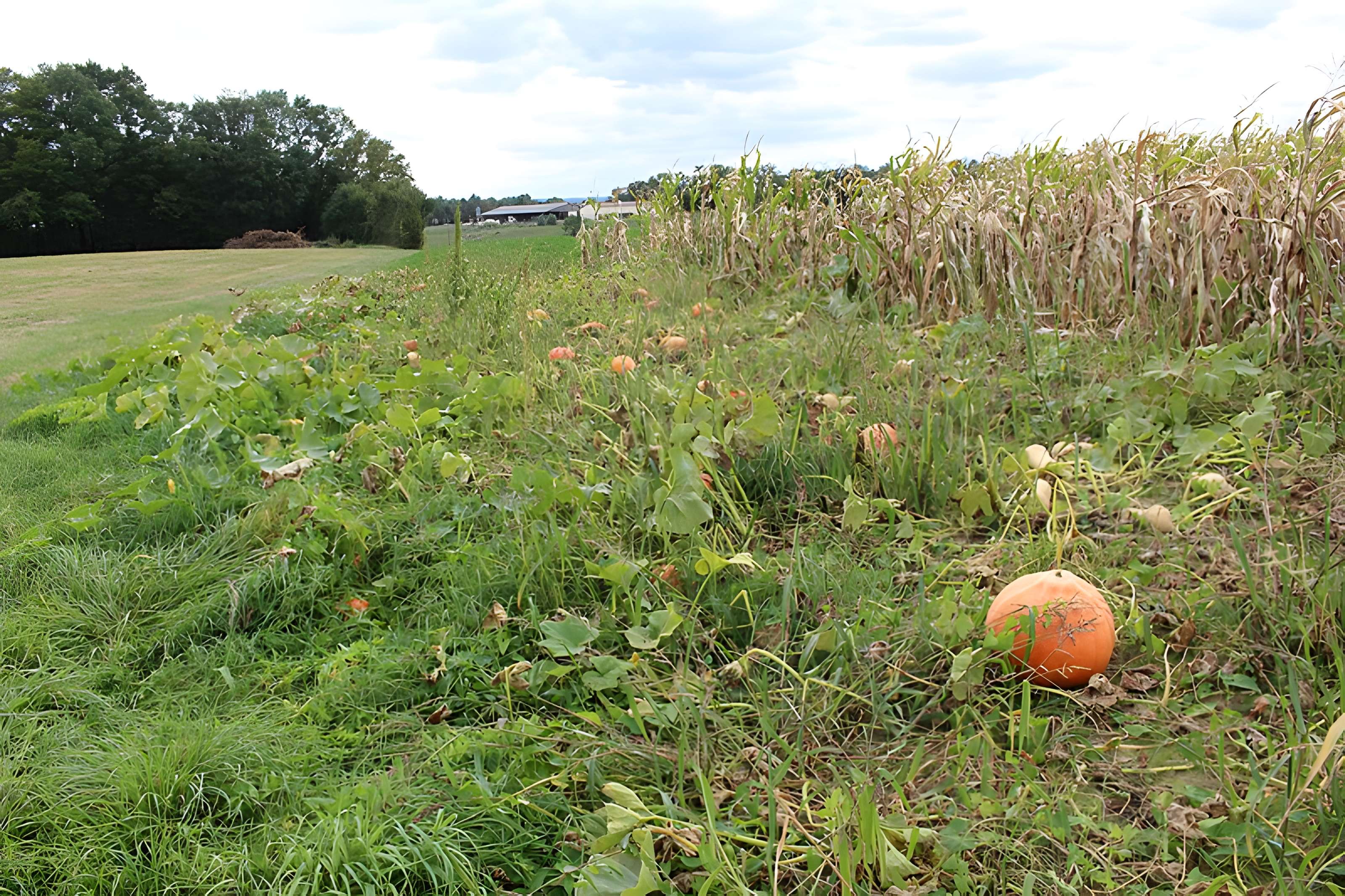 Domaine des Saveurs – Les Planons