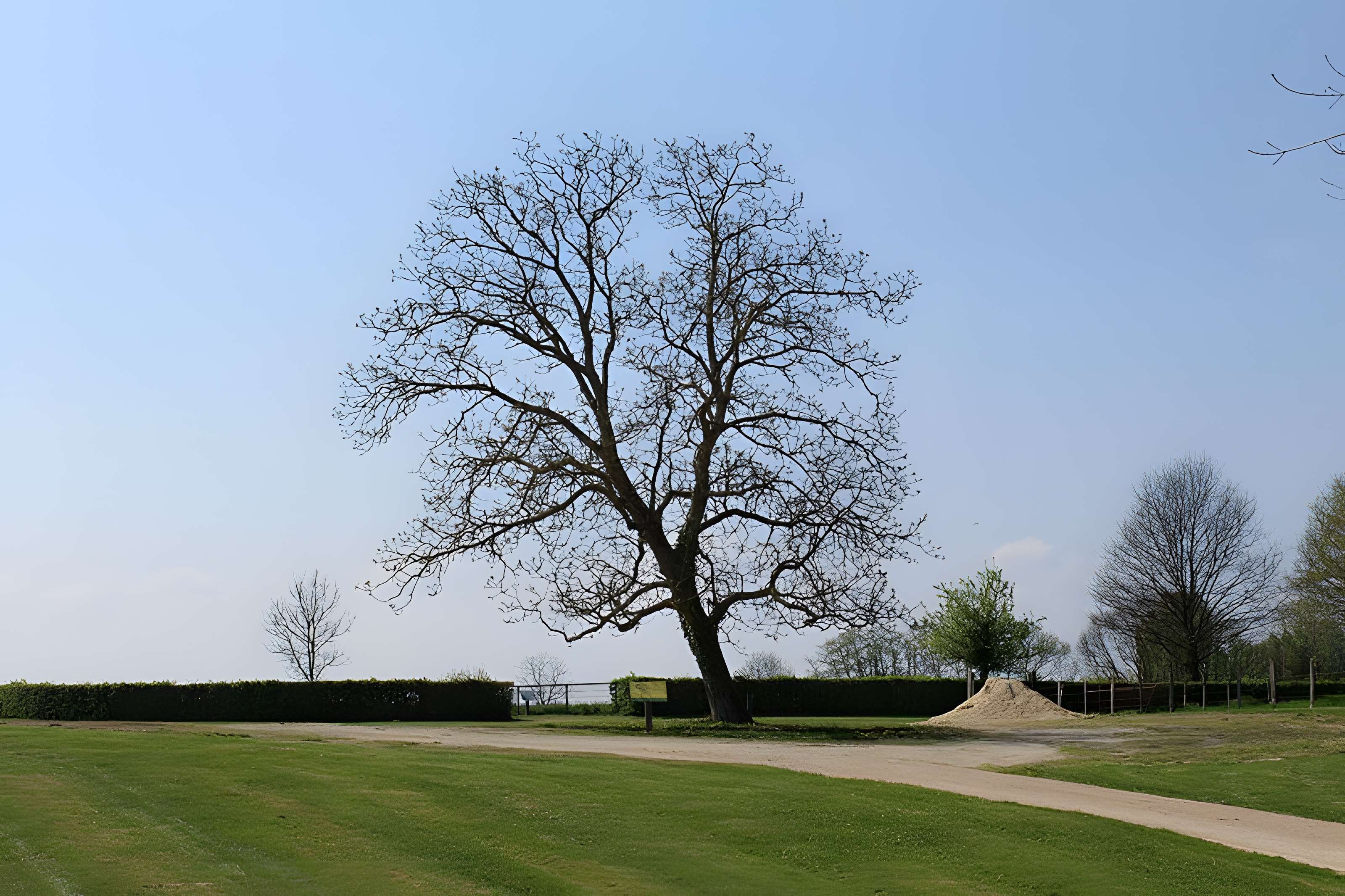 Domaine des Saveurs – Les Planons