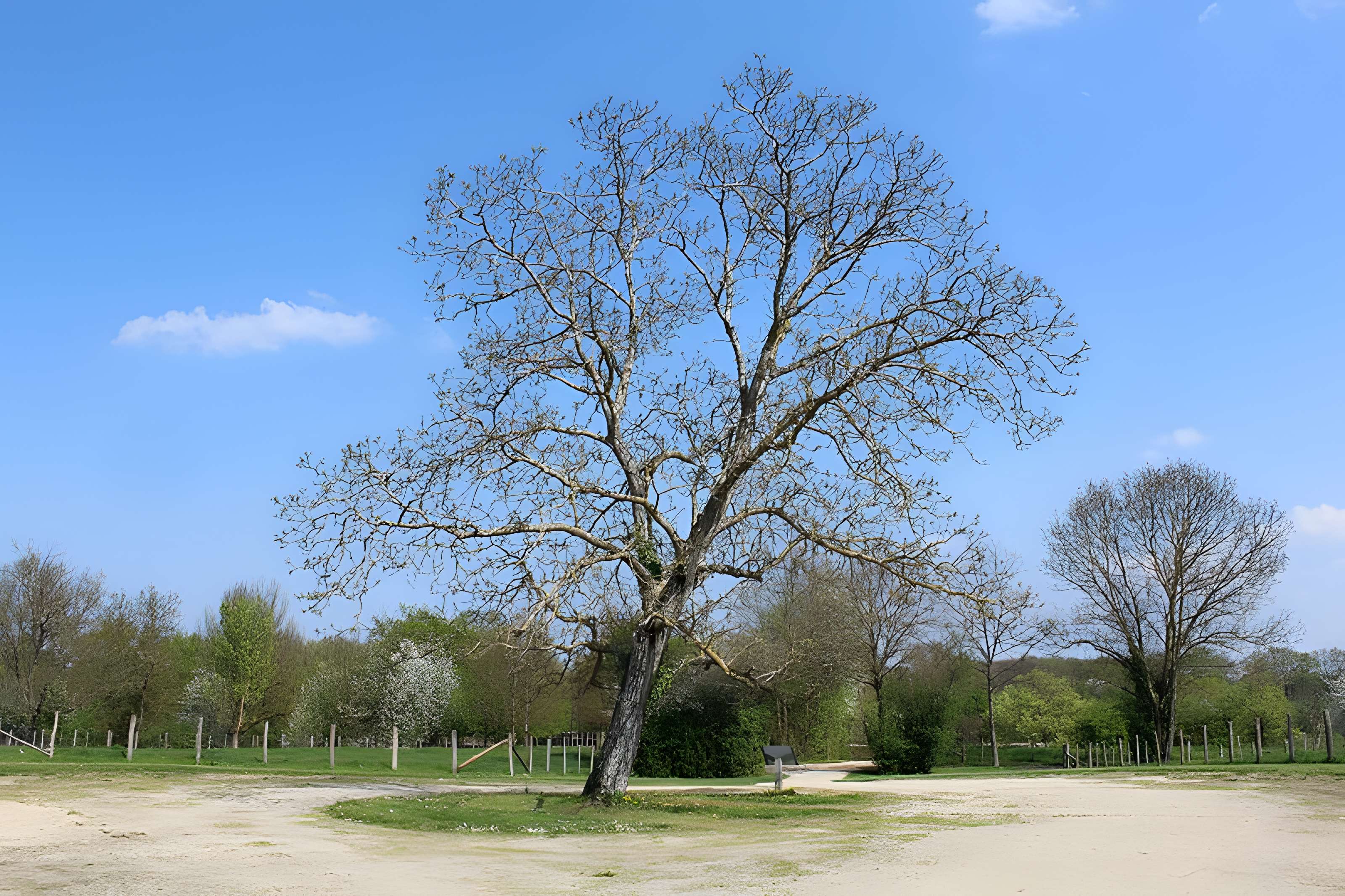 Domaine des Saveurs – Les Planons