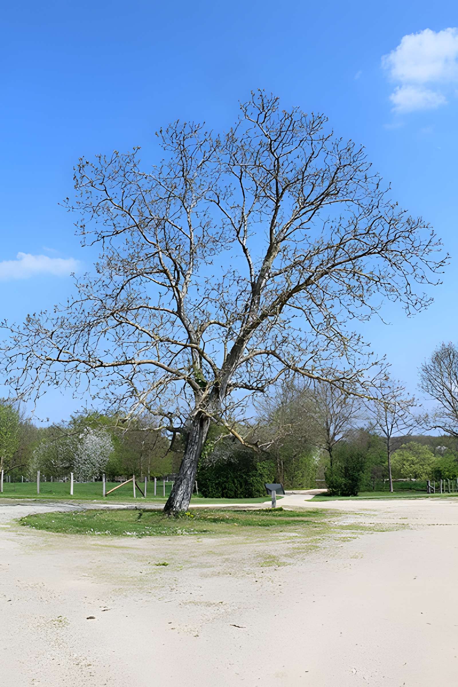 Domaine des Saveurs – Les Planons