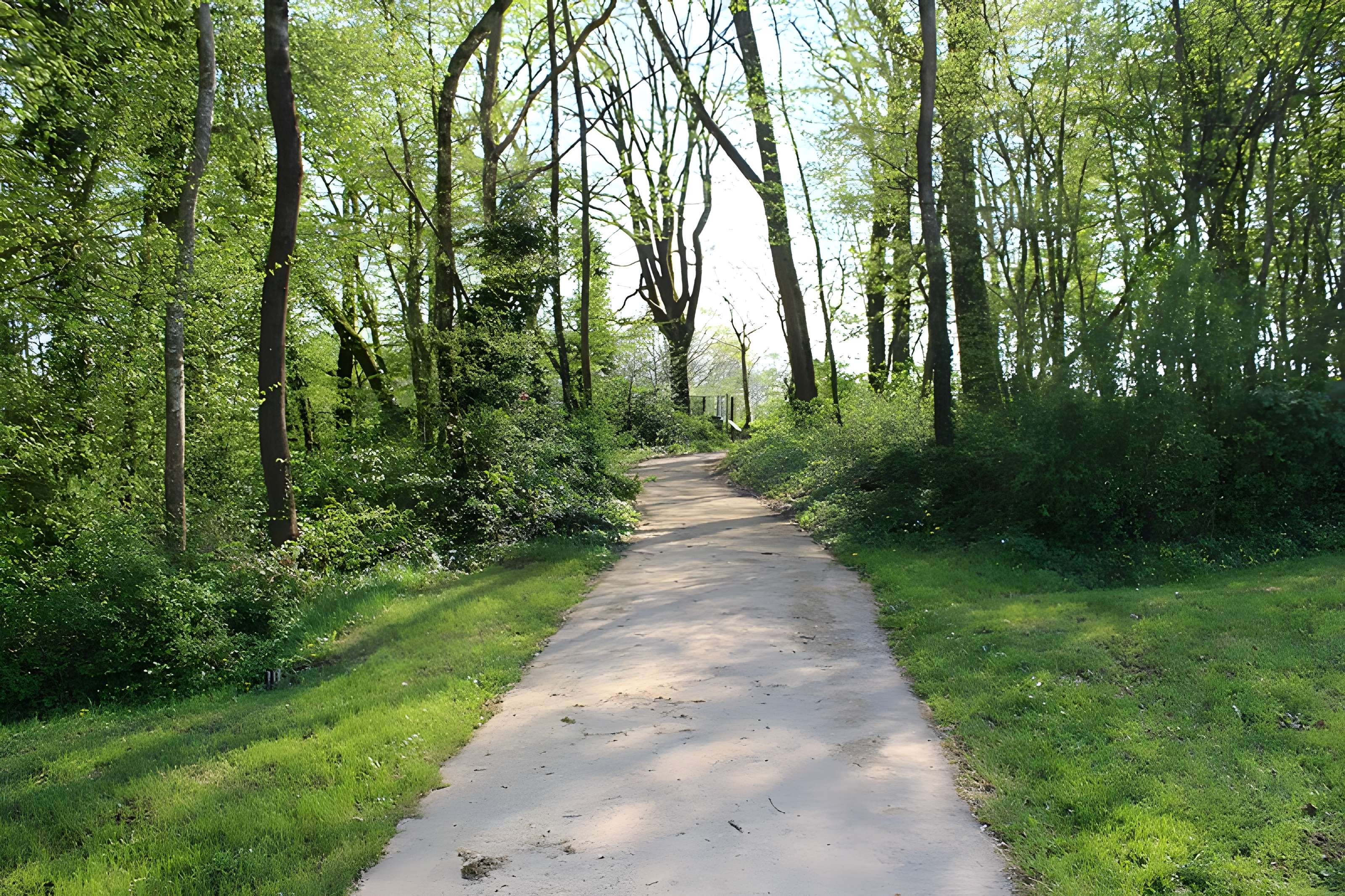 Domaine des Saveurs – Les Planons