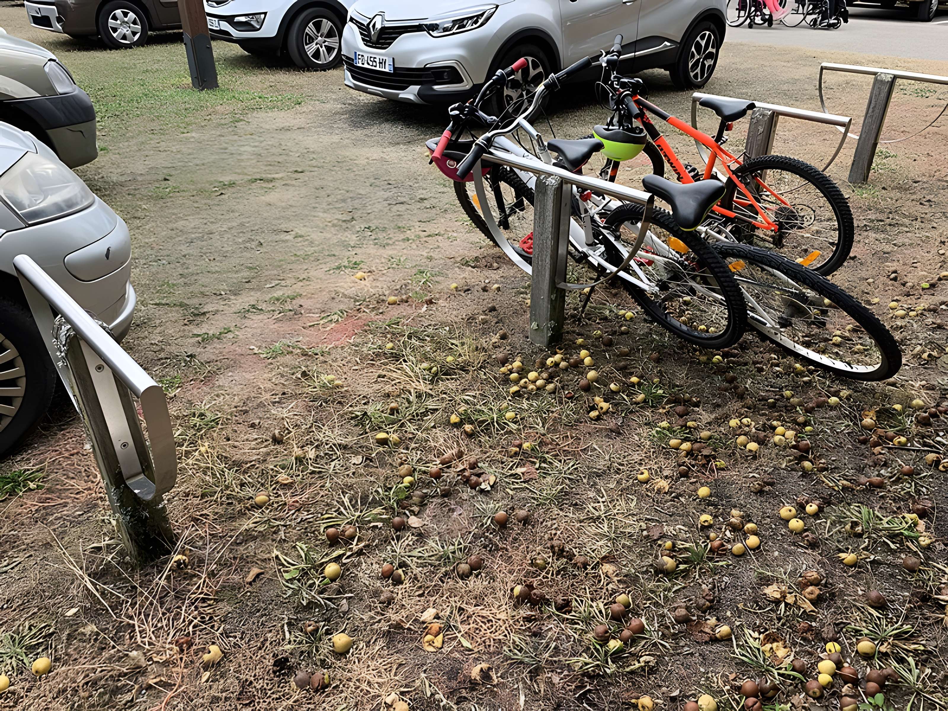 Domaine des Saveurs – Les Planons