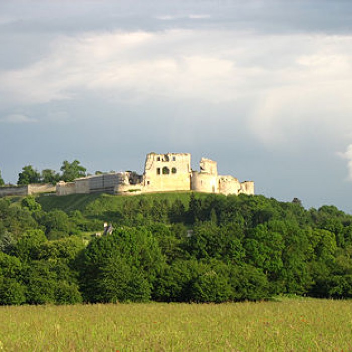 Photo de Château de Coucy