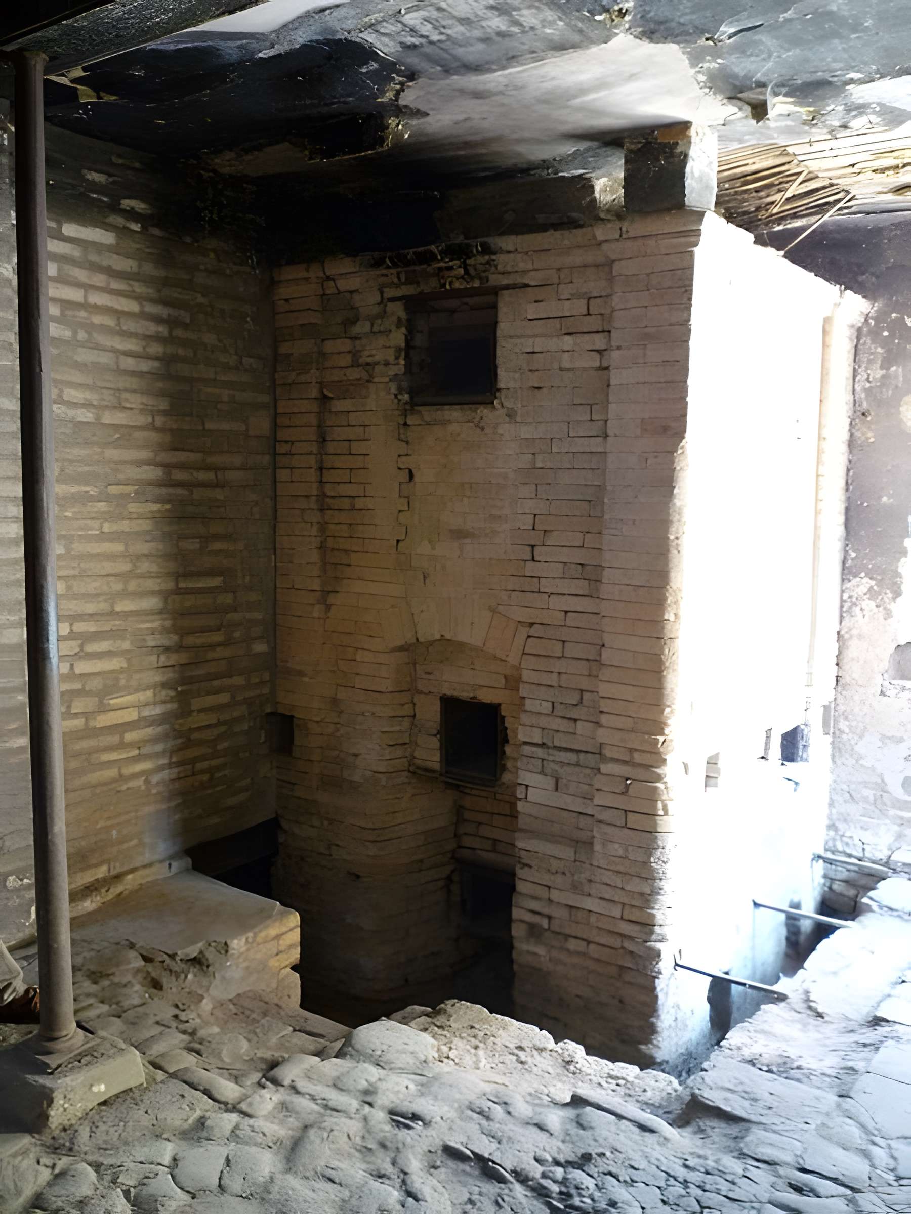 Sécherie de pommes de pins sylvestres à Haguenau 