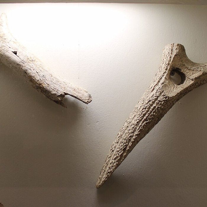 Photo de Musée municipal