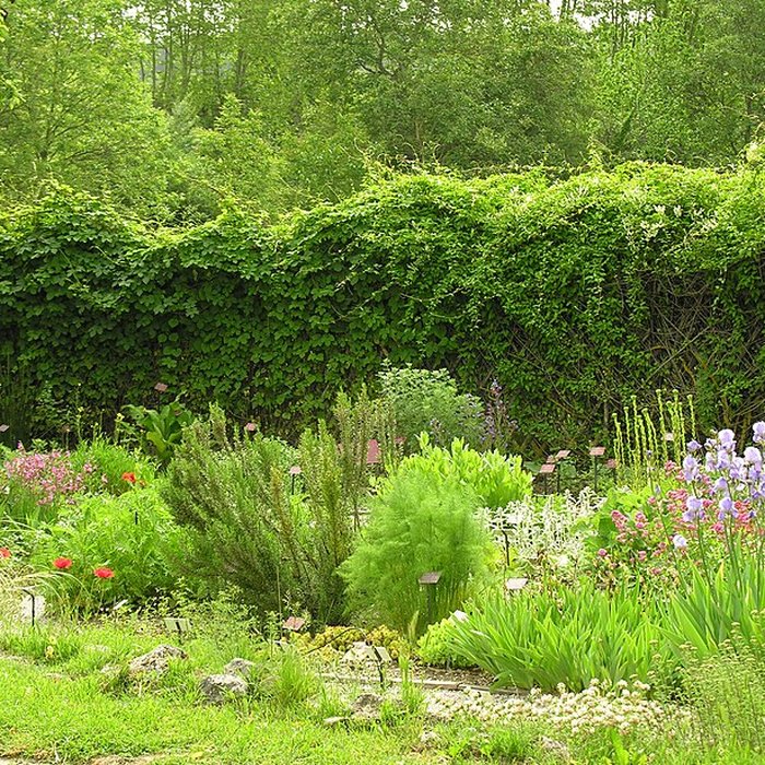 Photo de Musée de Salagon