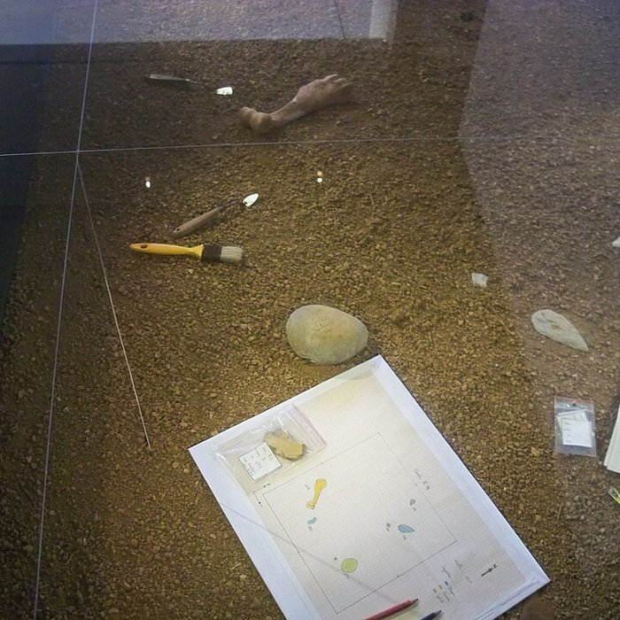 Photo de Musée départemental de préhistoire