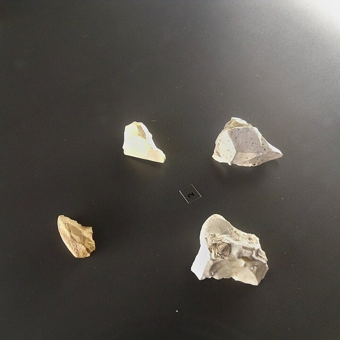 Photo de Musée départemental de préhistoire