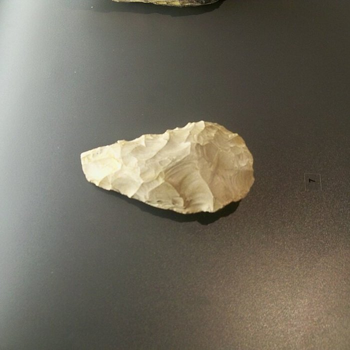 Photo de Musée départemental de préhistoire