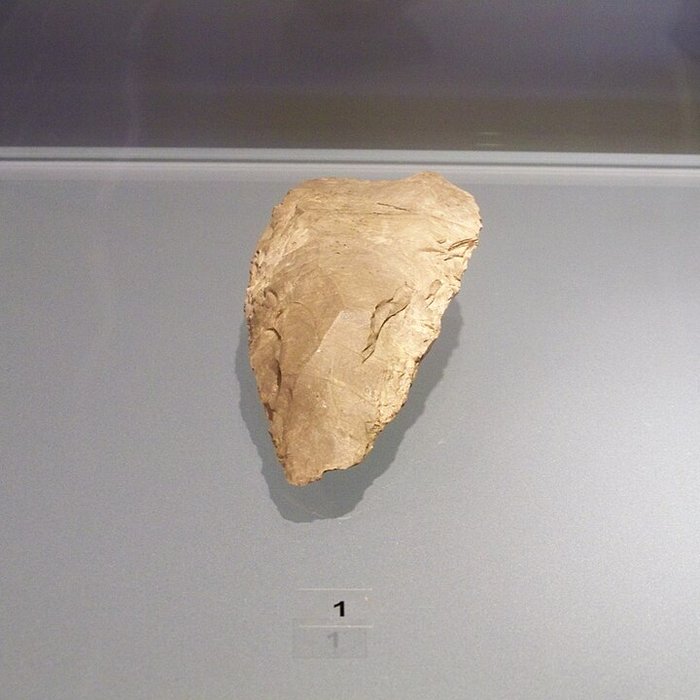 Photo de Musée départemental de préhistoire