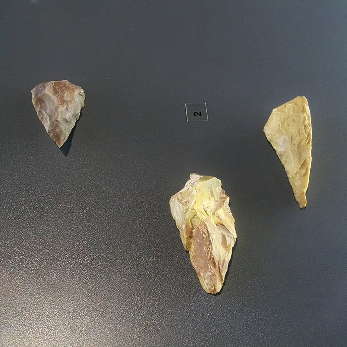 Photo de Musée départemental de préhistoire